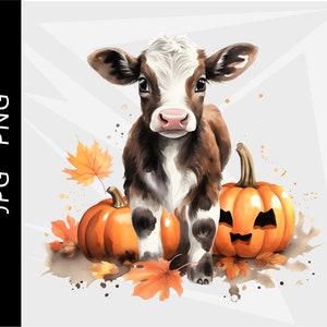May include: A watercolour illustration of a brown and white calf, with orange pumpkins and autumn leaves. One pumpkin has a carved jack-o'-lantern face. The image has a fall or harvest theme.