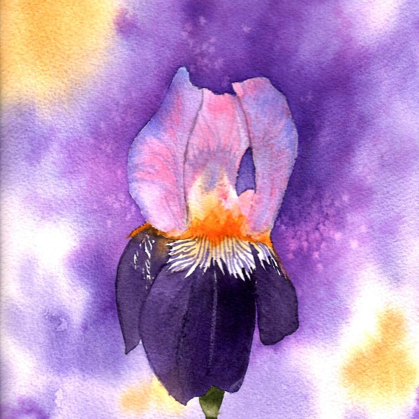 Peinture originale à l'aquarelle, fleur iris violet, tableau fleur violette, peinture florale violet et jaune, gros plan fleur violette