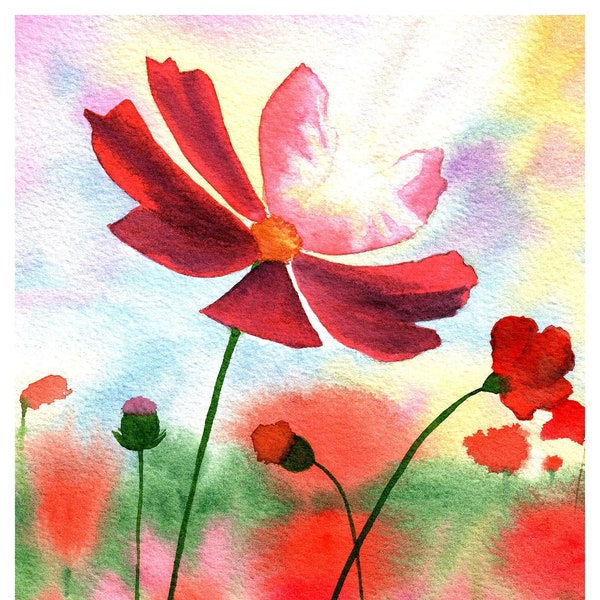 Peinture aquarelle originale, fleurs de cosmos et champ de coquelicots