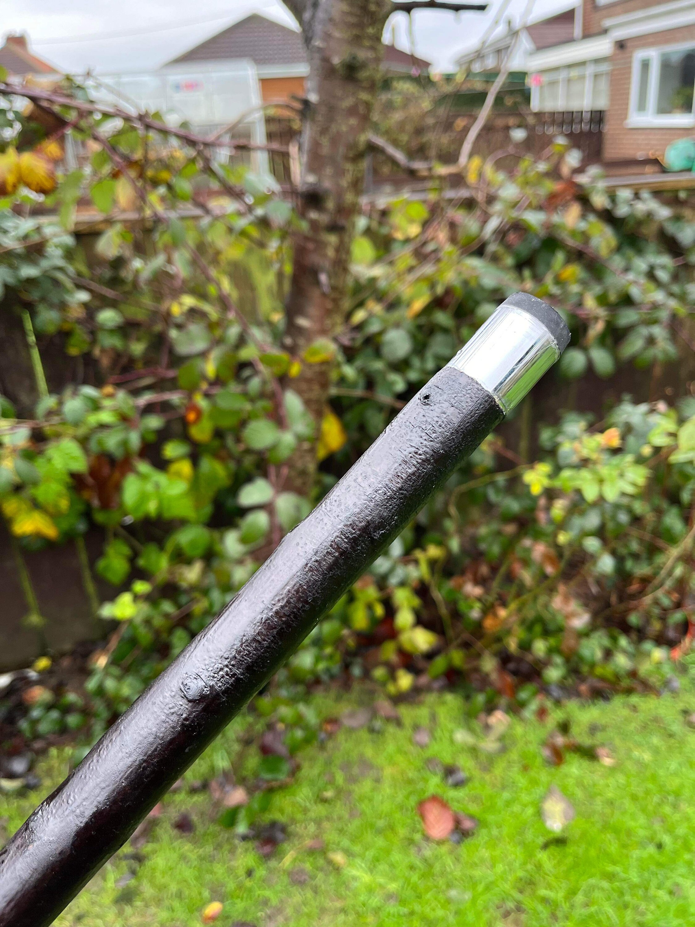 Beautiful Blackthorn Walking Stick Etsy UK