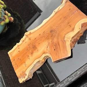 May include: A natural wood slab with a live edge, featuring a warm amber-toned surface with visible wood grain, knots, and organic, irregular contours. The piece displays a smooth, polished finish on the top face with raw, textured bark edges.