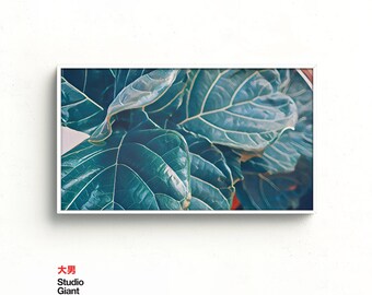 Fiddle Leaf Fig Samsung Frame TV Art: Modern Plant Painting (Digital Download)