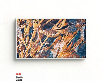 Seaweed Samsung Frame TV Art: Ocean Digital Download