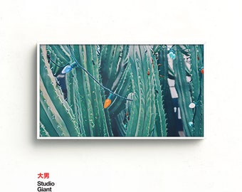 Christmas Cactus Samsung Frame TV Art (Digital Download)