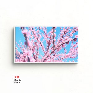Samsung Frame TV Art, Spring, Instant Download, Flowers, Frame TV Art, Samsung Art TV, Digital Download for Samsung Frame