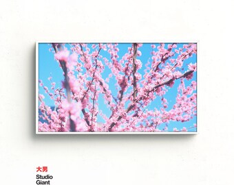 Spring Blossom Samsung Frame TV Art (Digital Download)