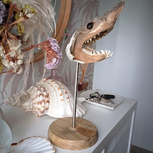 シャーク マウス スカル オブジェ Replica Shark Jaw Wall Sculpture シャーク マウス スカル オブジェ Replica Shark Jaw Wall Sculpture