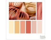 Coral Springs Paint Palette: Benjamin Moore Interior Color Scheme (Digital Download)