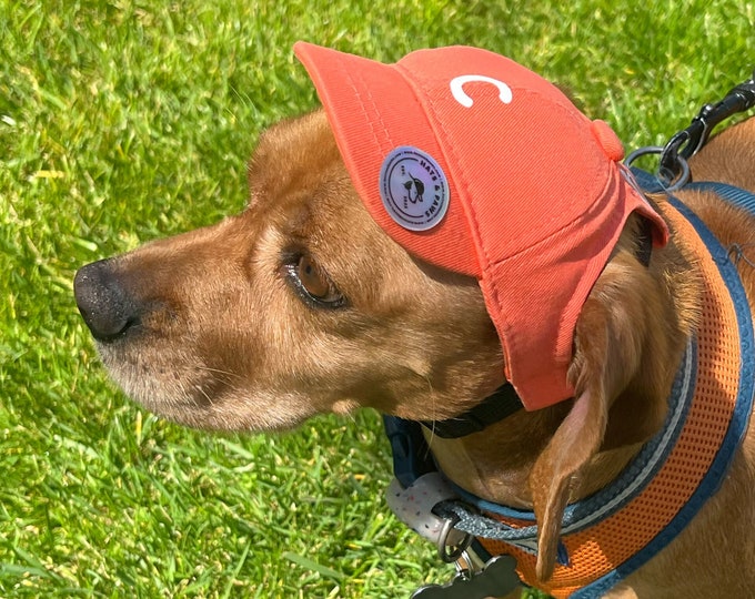Monogram Dog Hat – Custom Dog Baseball Cap