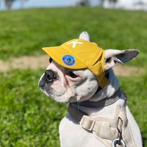 Monogram Dog Hat – Custom Dog Baseball Cap