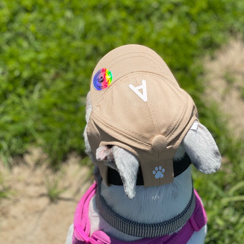 Monogram Dog Hat Custom Dog Baseball Cap Etsy