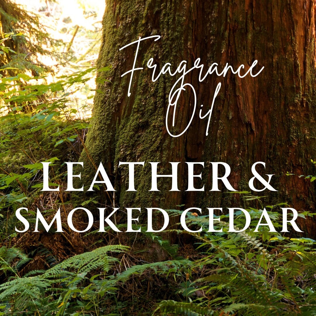 LEATHER & SMOKED CEDAR - Fragrance Oil - Roll On Perfume Oil, Earthy, Woody, Nature Fragrance, Unisex Fragrance, Leather Fragrance, Smokey