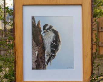 Realistic Downy Woodpecker Pastel Painting / Bird Artwork / Birds of British Columbia