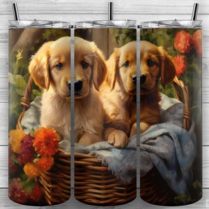 Könnte beinhalten: Zwei Golden Retriever-Welpen sitzen in einem Weidenkorb mit einer blauen Decke. Der Korb ist von Herbstblumen in Orange-, Rot- und Gelbtönen umgeben.