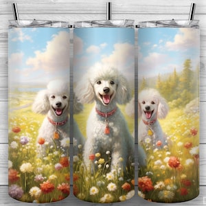 Poodle Dogs Tumbler Design, Poodle Dog Tumbler, 20oz Skinny Tumbler PNG, Sublimation Design, Tumbler Wrap, Straight Tapered, Design 138