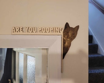 Cat "are you pooping"