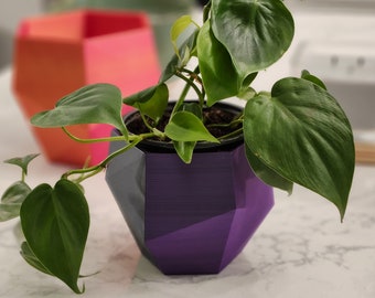 Low-Poly Hexagonal Planter | Multi-Color Geometric Home Decor | Modern 3D-Printed Office & Table Decoration for Succulents and Houseplants