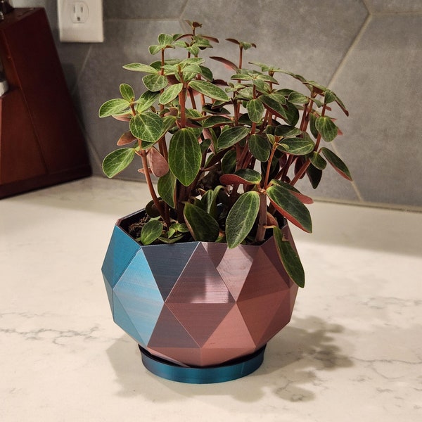 Colorful Rocky Edge Low-Poly Planter | Two-Tone Geometric Succulent Holder for Modern Home Decor and Small Plants