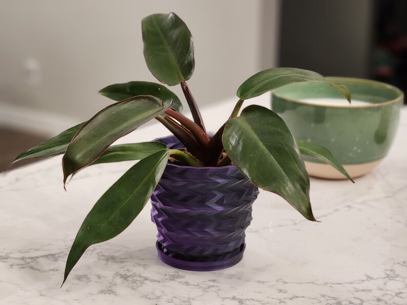 Potted Sweater Vest Planter on the Kitchen Countertop