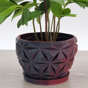 May include: A dark red and black geometric planter with a small plant growing inside. The planter has a starburst pattern.