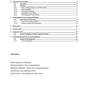 May include: A document titled "Table of Content" with a list of sections and page numbers. Sections include Proposal Letter, Corporate Information, Services, and Presentation of the Proposed Solution. Instructions are also included.