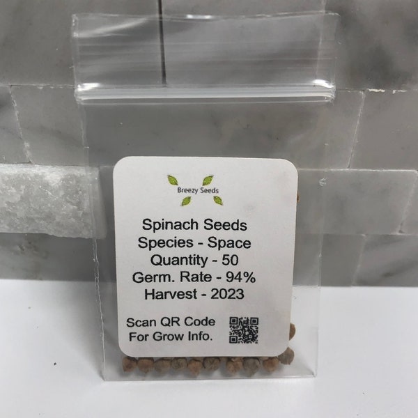 Spinach Seeds - Space/ Red Snapper - Vegetable Seeds - Non GMO - USA Grown