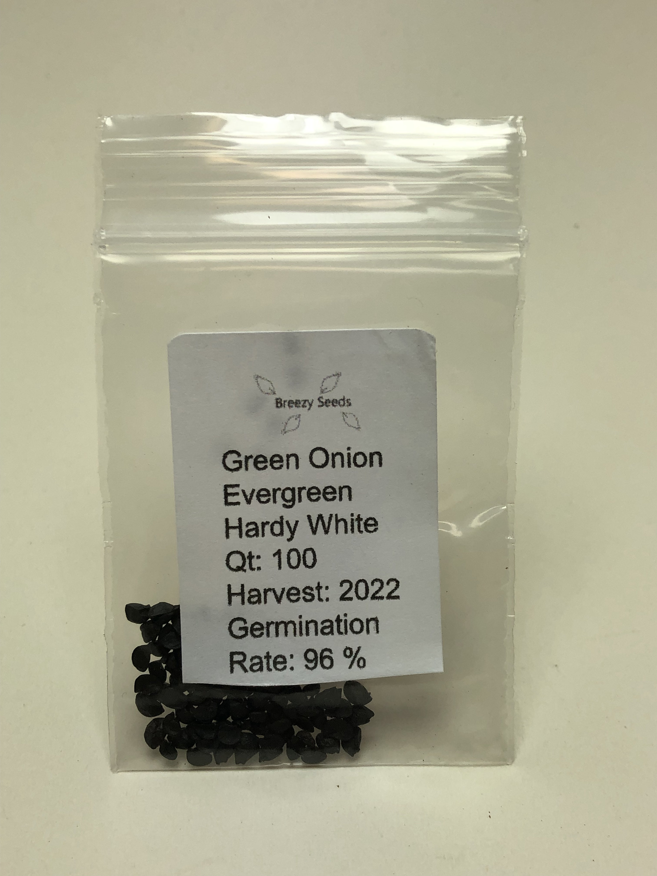 Green Onion Seeds Evergreen Herb Seeds USA Grown Non Etsy