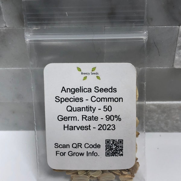 Angelica Seeds - Herb Seeds - Non GMO - USA Grown