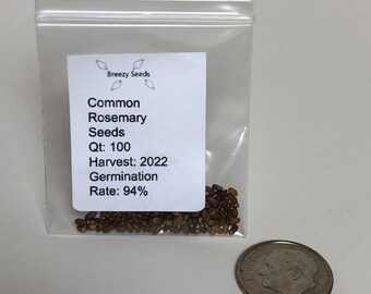 Rosemary Herb Seeds - Common - Herb Seeds - USA Grown - Non Gmo -