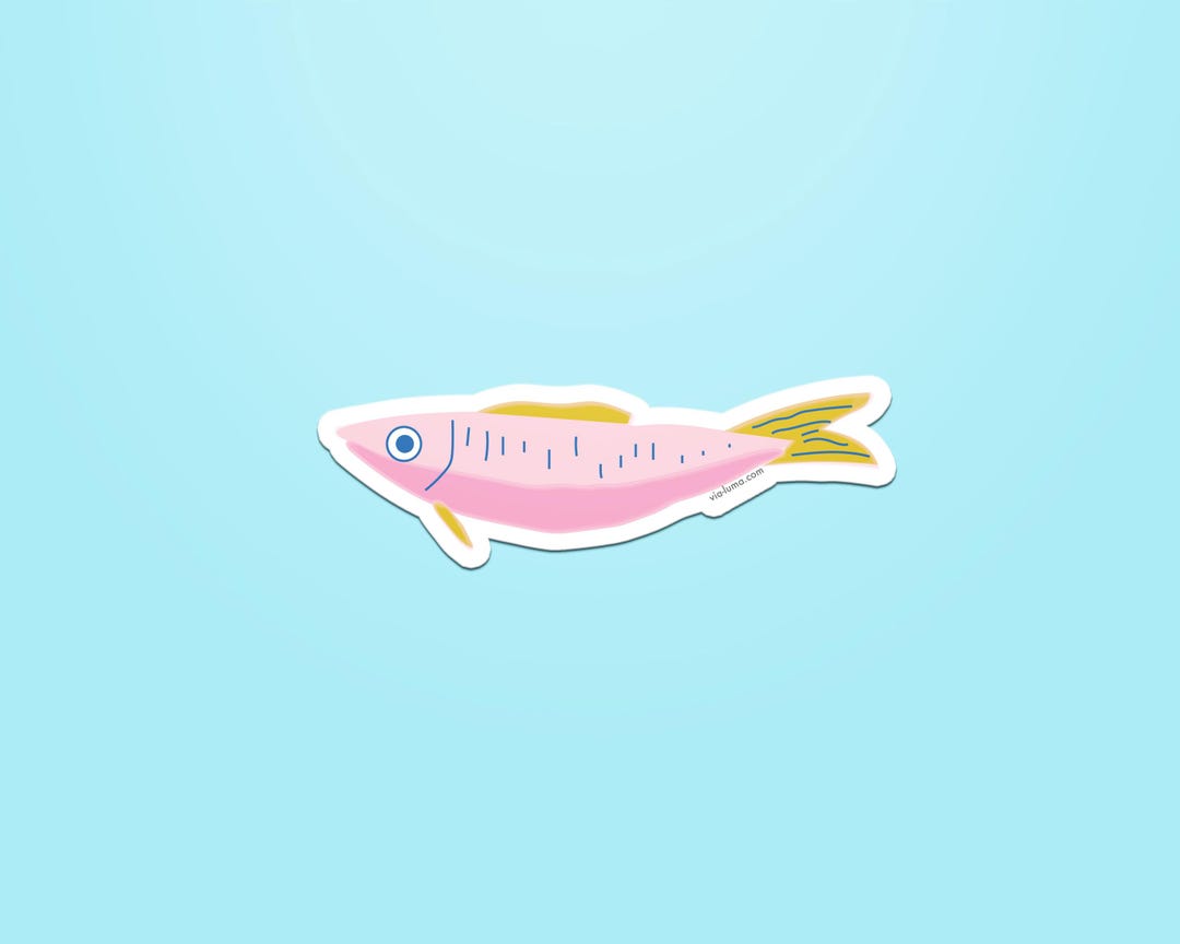 Dec Fish Sticker Colorful Fish Sticker: Matte Vinyl Decal - Bend, Oregon - Etsy