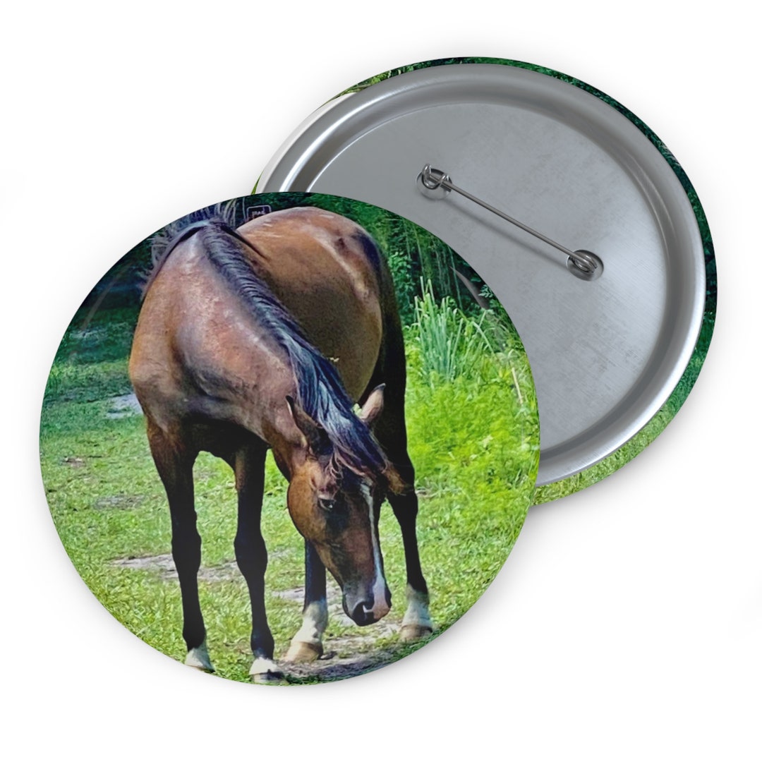 Wild Horse of Micanopy Pin Back Badge Buttons Etsy