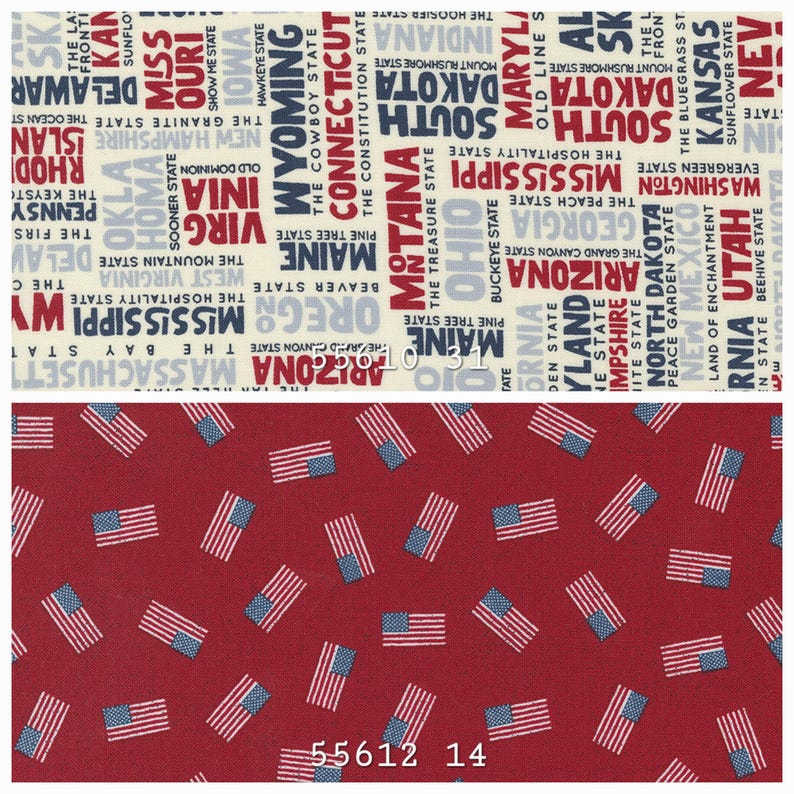 Stateside Moda Cotton Fabric by Sweetwater - Etsy