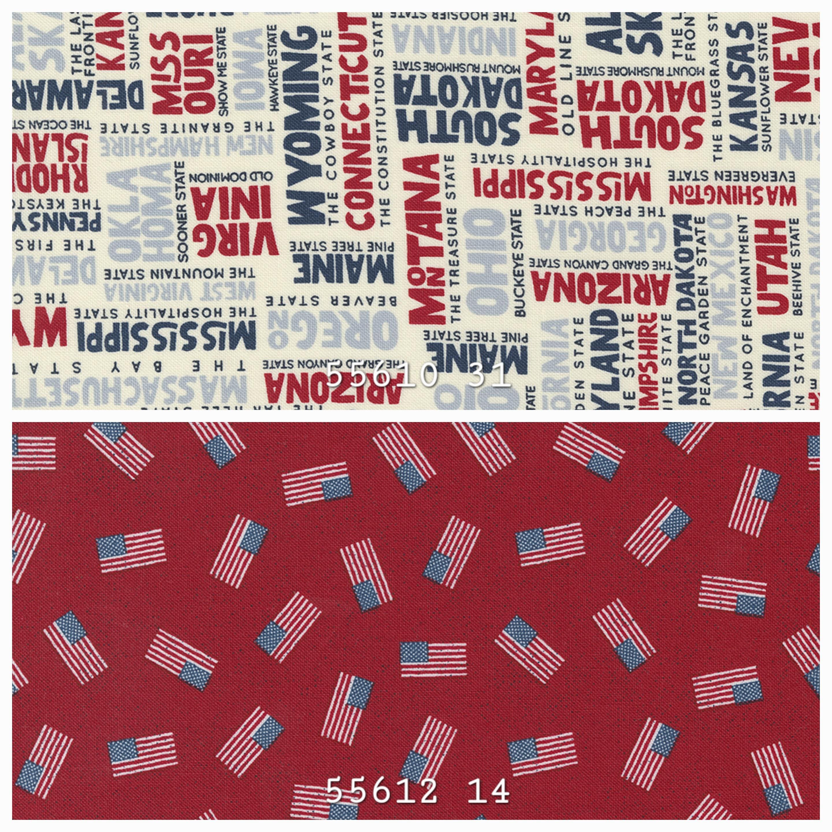 Stateside Moda Cotton Fabric by Sweetwater - Etsy
