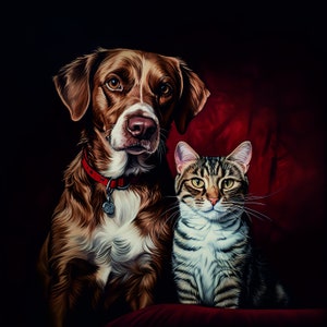Carte Meilleurs amis chat et chien