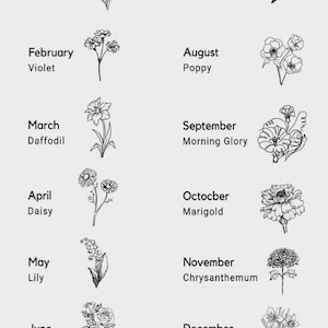 May include: A botanical illustration featuring twelve different flowers, each representing a month of the year. The months and flower names are listed, including Carnation, Violet, Daffodil, Daisy, Lily, Rose, Water Lily, Poppy, Morning Glory, Marigold, Chrysanthemum, and Narcissus.