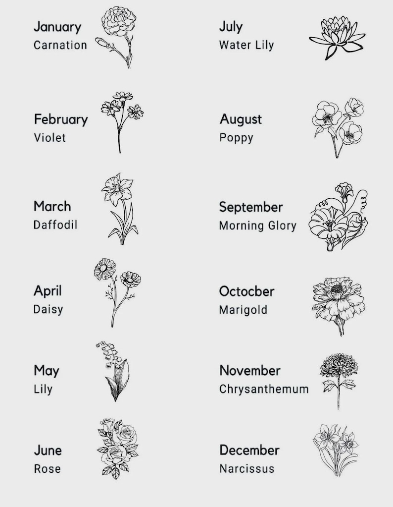 May include: A botanical illustration featuring twelve different flowers, each representing a month of the year. The months and flower names are listed, including Carnation, Violet, Daffodil, Daisy, Lily, Rose, Water Lily, Poppy, Morning Glory, Marigold, Chrysanthemum, and Narcissus.