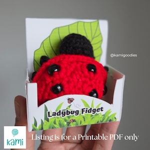 May include: A red crocheted ladybug fidget toy with black spots and a black head, presented in a white box with a green leaf and grass design. The box reads "Ladybug Fidget".