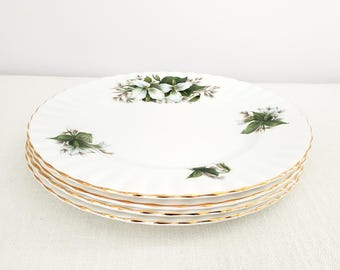 Four Royal Albert Salad / Dessert Plates, Trillium, White Flowers, Gold Trim, 8” 1970s