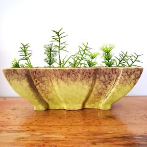 Peut inclure: Un pot en céramique jaune et marron avec un design ondulé. Le pot est rempli de plantes artificielles vertes.