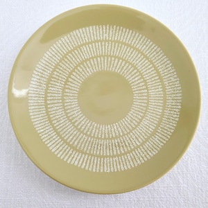 May include: A light green saucer with a white concentric circle pattern. The saucer has a smooth, glossy finish.