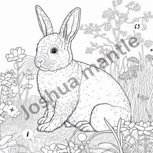 Pages de couleur de lapin de Pâques