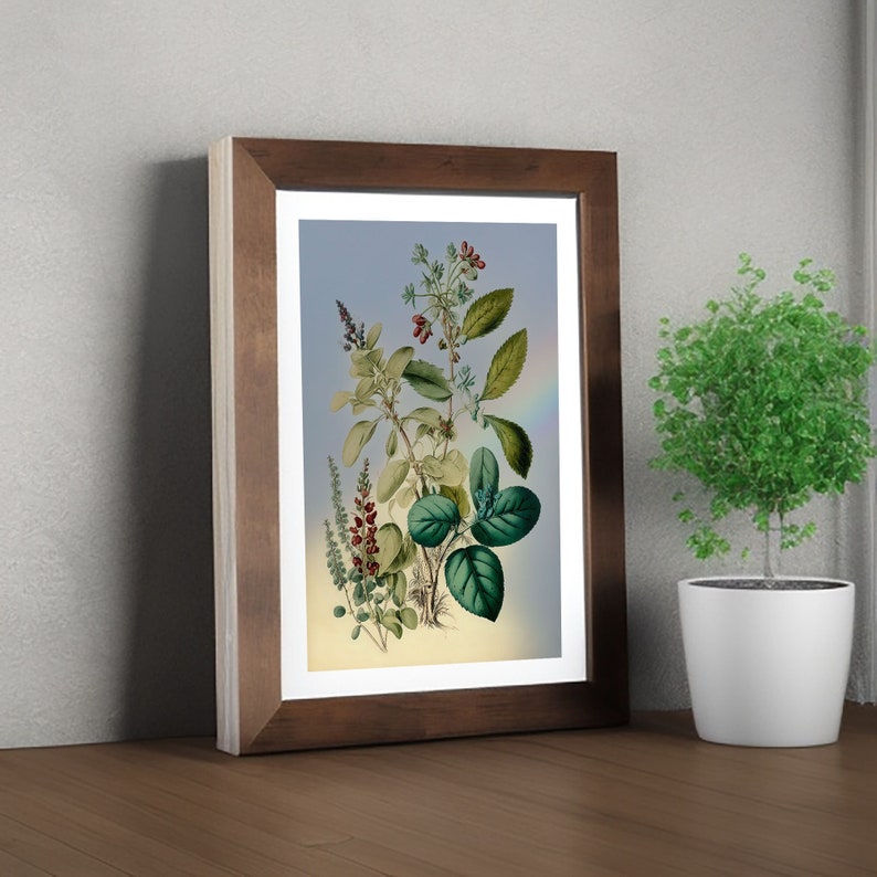 Digital, Printable Artwork, Colourful Wall Art, Vintage Botanical ...
