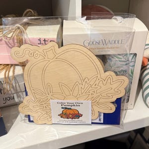 DIY Fall Craft for Kids | Color Your Own Pumpkin Kit | Wooden Pumpkin Coloring Set | Family Craft Activity | Gift for Kids