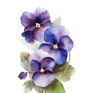 Victorian Flower Language Violets Modesty Innocence White Ceramic