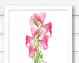 Sweet Pea Watercolor Art Print: April Birth Flower (Digital Download)