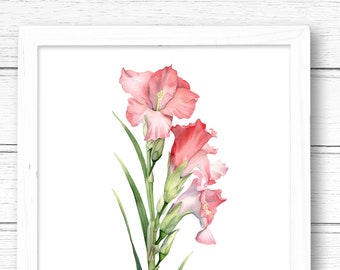 Pink Gladiolus Watercolor Art Print: August Birth Flower (Digital Download)