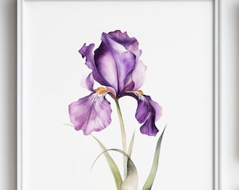 Stampa artistica ad acquerello di iris viola: fiore di nascita di febbraio (download digitale)