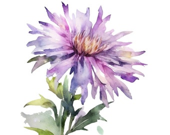 Purple Aster September Birth month Flower Watercolor Digital Art Print Digital Download Mother's day Baby gift special occasion gallery wall