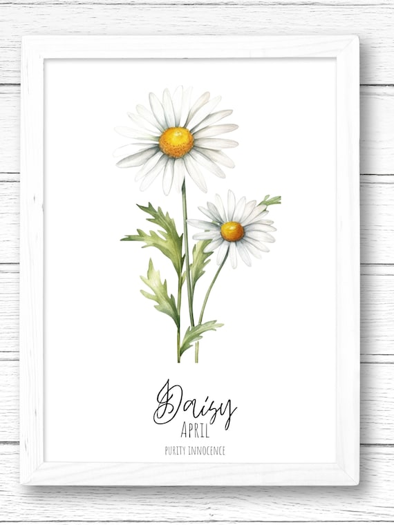 Daisy April Birth Flower Watercolor Art Print (digital Download