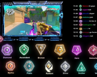Valorant geanimeerde twitch-overlay: streampakket, subbadges (pdf)